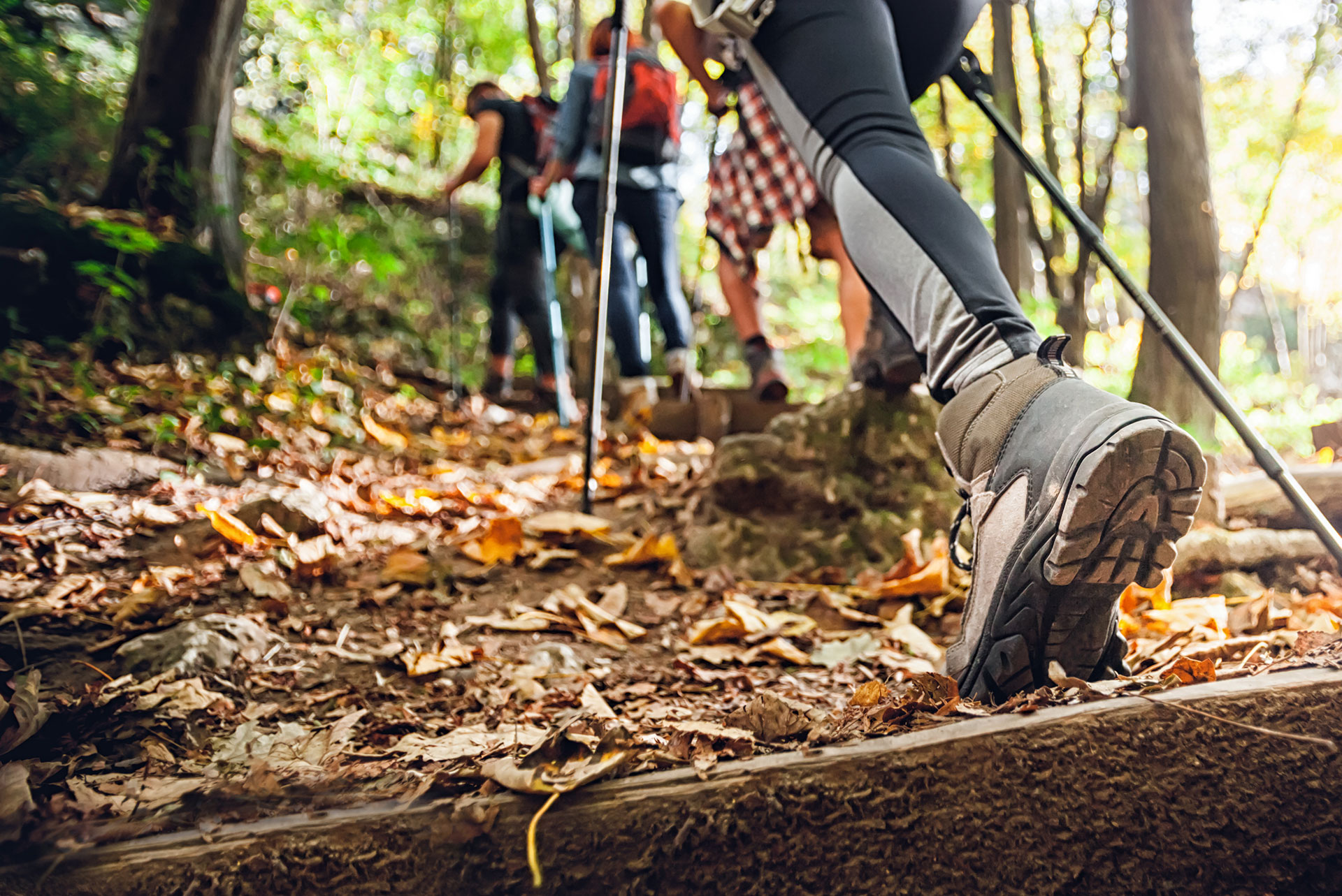 Podiatry Office Ferndale